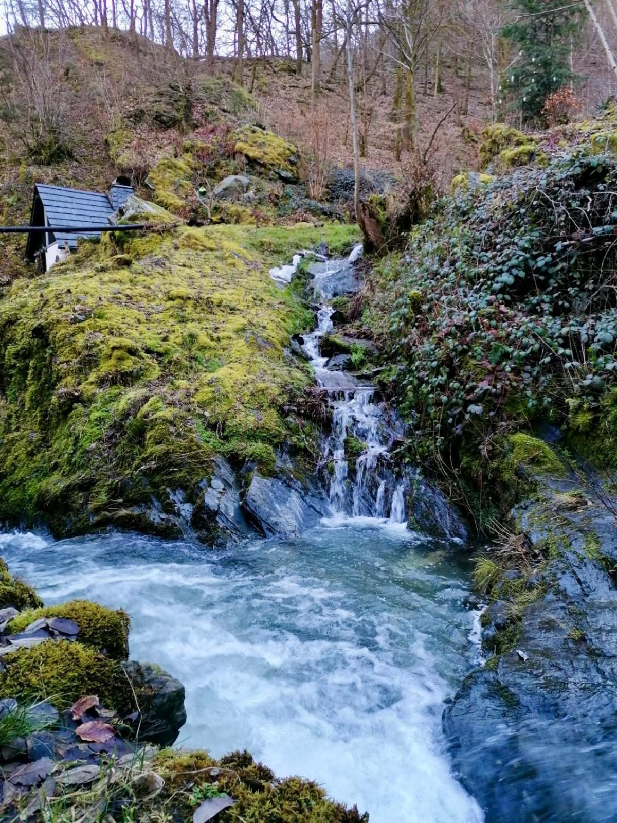 Landhaus Laux Schmitt Dış mekan fotoğraf